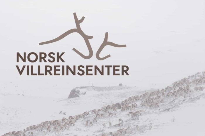 Logo og visuell profil for Norsk villreinsenter